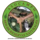 ASOCAMPO