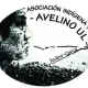 AVELINO UL